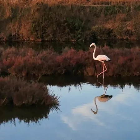 A Port - Proche De Toutes Commodites Apartment