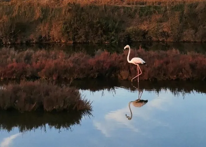 A Port - Proche De Toutes Commodites Apartment